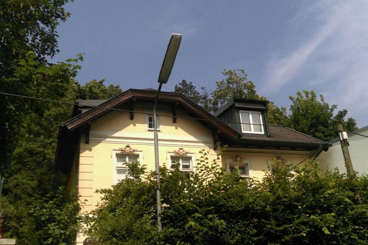 Ruhige, Grosse Ferienwohnung Am Muehlberg, Stadtrand Вена Экстерьер фото
