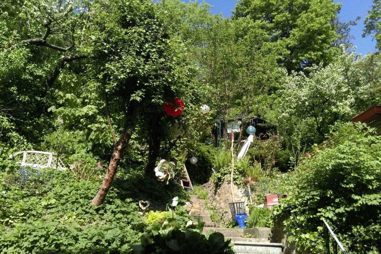 Ruhige, Grosse Ferienwohnung Am Muehlberg, Stadtrand Вена Экстерьер фото